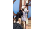 ！兔帽女是否打小孩成最大争议迪士尼情侣现